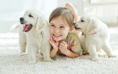 How to Choose the Right Pet for You