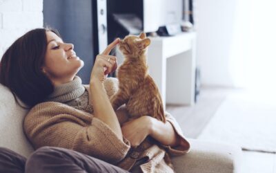 Properly Caring for Your Pet