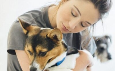 Dog vaccinations: 5 things to consider