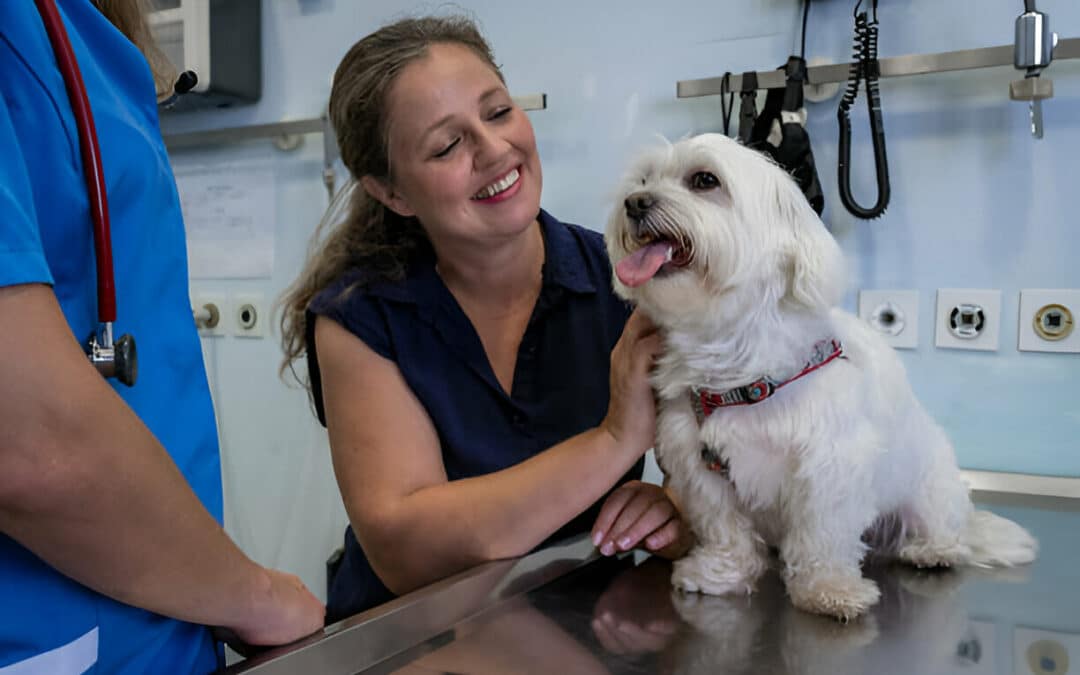 Vets in Eastern suburbs