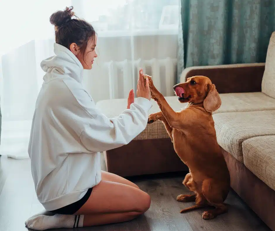 Woman with dog-Proactive Pet Care_ The Key to Long-Term Health and Happiness